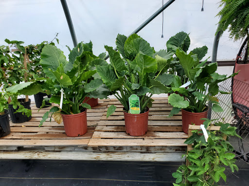 Garden Center «Beachside Gardens & Gifts», reviews and photos, 3725 US-12, Michigan City, IN 46360, USA