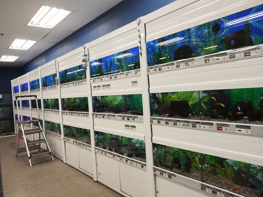 Pet Supply Store «Petco Animal Supplies», reviews and photos, 2765 Santa Rosa Ave, Santa Rosa, CA 95407, USA