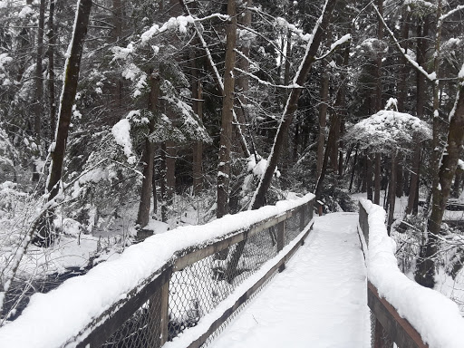 Park «West Hylebos Wetlands Park», reviews and photos, 411 S 348th St, Federal Way, WA 98003, USA