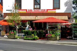 SB Mayer image