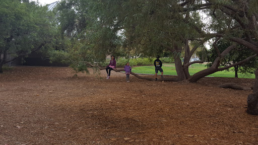 Park «University Community Park», reviews and photos, 1 Beech Tree Ln, Irvine, CA 92612, USA