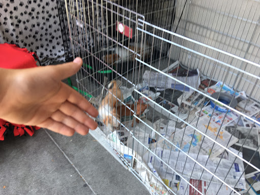 Pet Supply Store «Pet Food Express», reviews and photos, 3910 Middlefield Rd, Palo Alto, CA 94303, USA