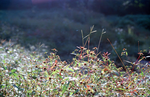 National Park «Battery Kemble Park», reviews and photos, 3035 Chain Bridge Rd NW, Washington, DC 20016, USA