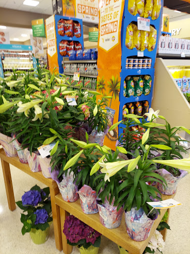 Supermarket «Publix Super Market at Daniels Crossing», reviews and photos, 6900 Daniels Pkwy Ste 19, Fort Myers, FL 33912, USA