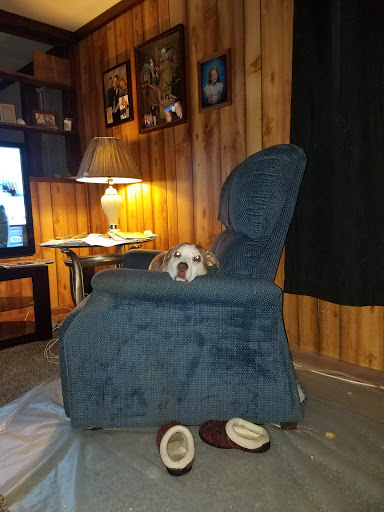 Shopping Mall «Cardiff Plaza Shopping Center», reviews and photos, E Black Horse Pike, Pleasantville, NJ 08232, USA