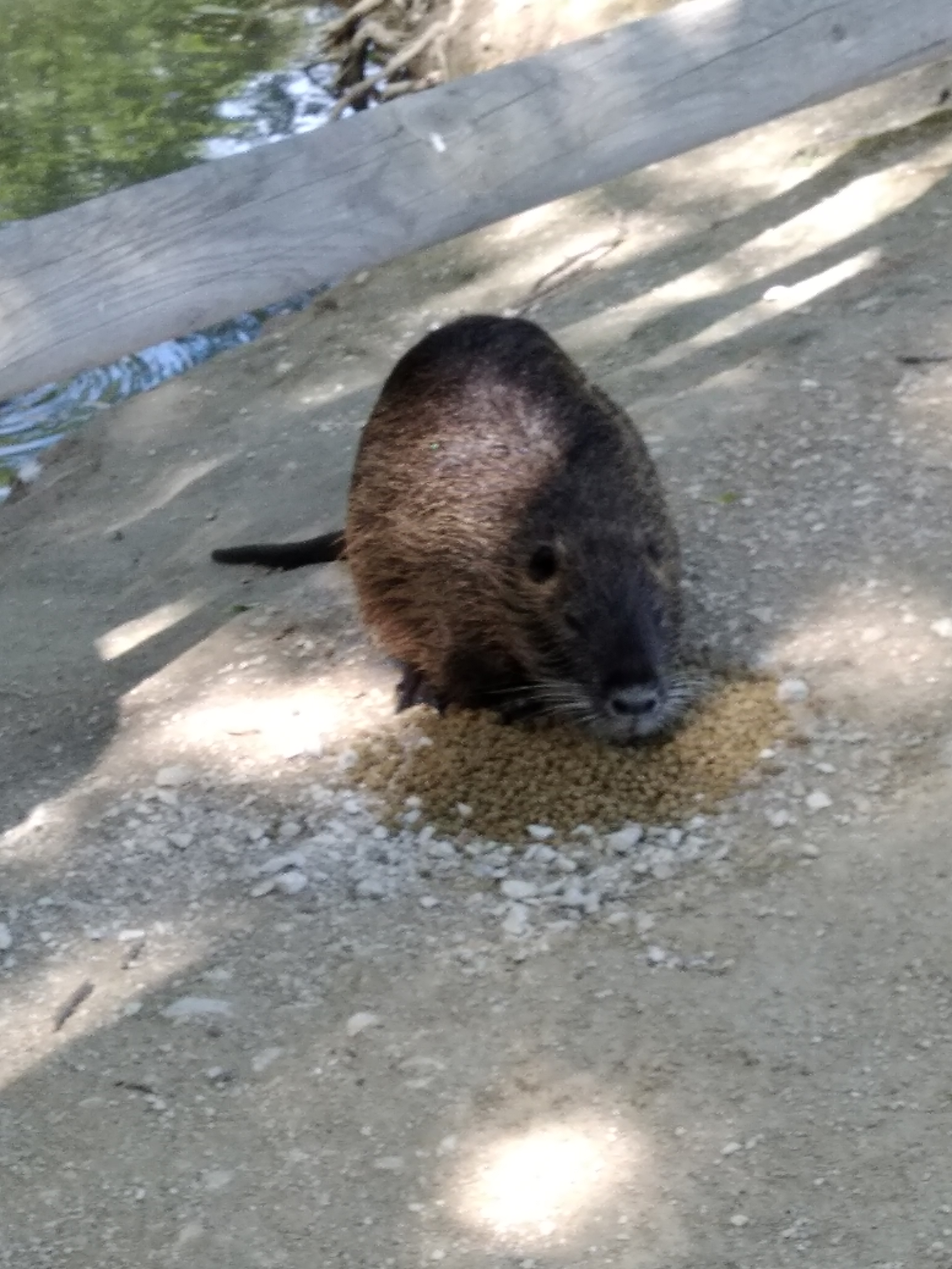 Photo n° 3 de l'avis de Kezia.r fait le 09/05/2019 à 14:40