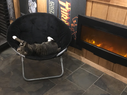 Skateboard Park «Asylum Skate Park», reviews and photos, 29850 Skokie Hwy, Lake Bluff, IL 60044, USA