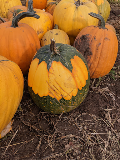 Railroad Company «Flower Farmer», reviews and photos, 2512 N Holly St, Canby, OR 97013, USA