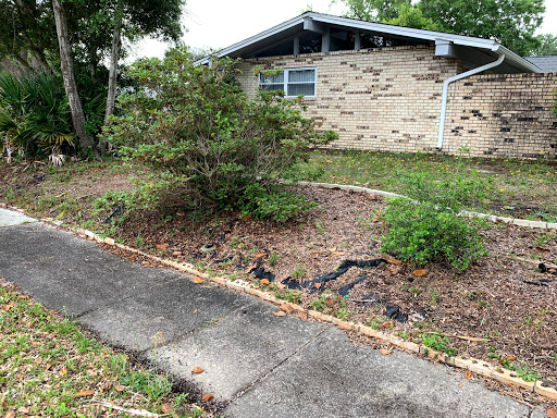 Lawn Care Service «Coastal Property Maintenance», reviews and photos, 550 Mary Esther Cut Off NW #229, Fort Walton Beach, FL 32548, USA