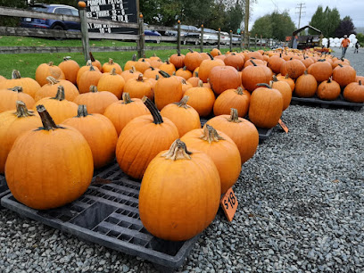 Rondriso Farms Pumpkin Patch and General Store