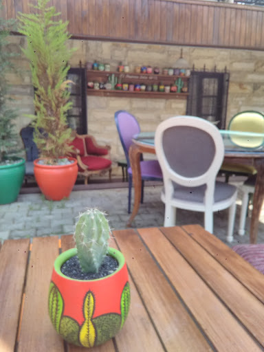 Dama Dama Cafe & Art Gallery