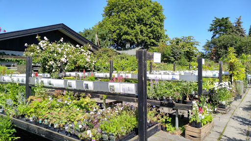 Grønne Hjem Valby