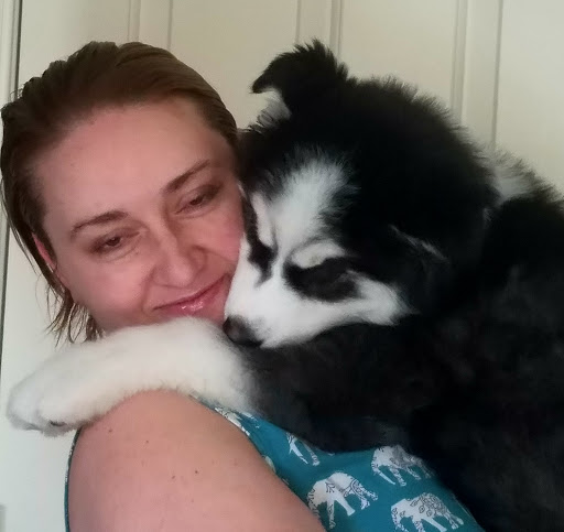 Pet Supply Store «Petco Animal Supplies», reviews and photos, 21178 E Ocotillo Rd, Queen Creek, AZ 85142, USA