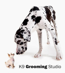 K9 Grooming Studio