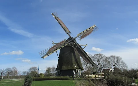 De Riekermolen (1636) image