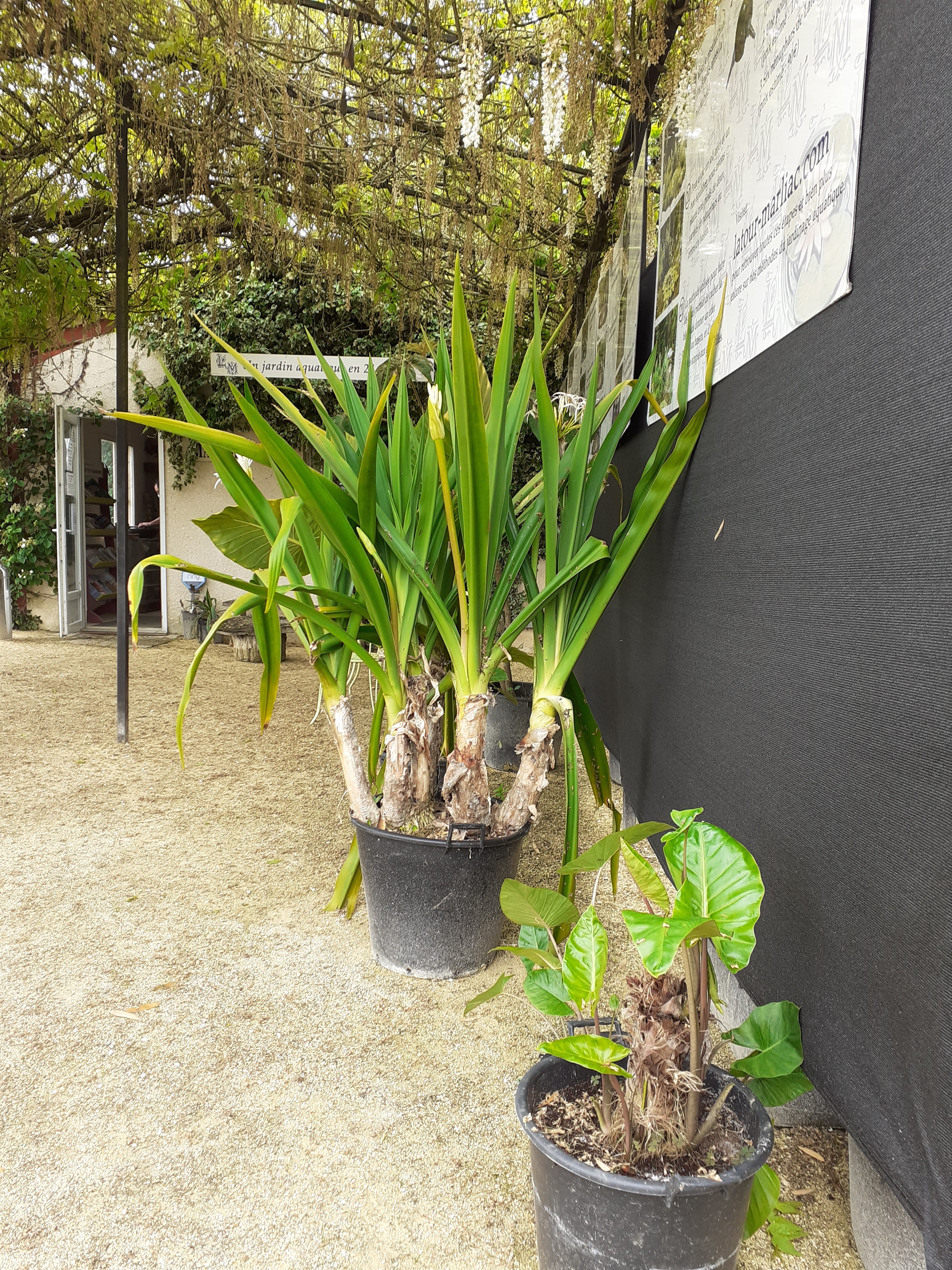 Photo n° 45 de l'avis de Kirenia.e fait le 22/05/2021 à 17:27