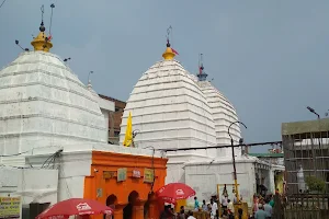 Baba Baidyanath Dham image