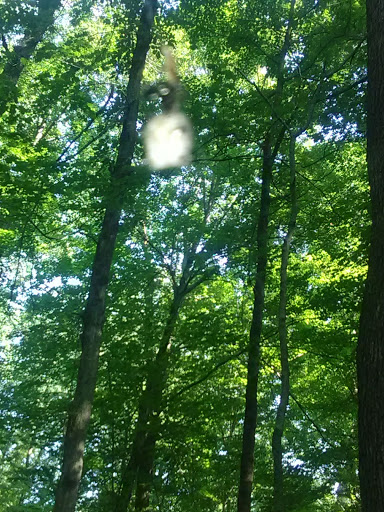 Nature Preserve «Meltzer Woods», reviews and photos, 1522 S 600 E, Shelbyville, IN 46176, USA