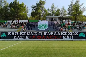 Psevdas Community Stadium image