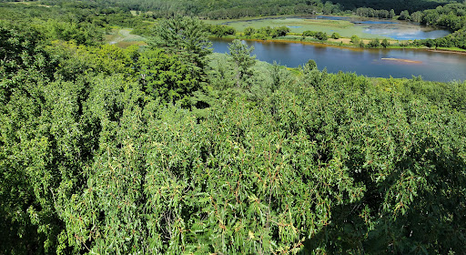 Environmental Organization «VINS Nature Center», reviews and photos, 6565 Woodstock Rd, Quechee, VT 05059, USA