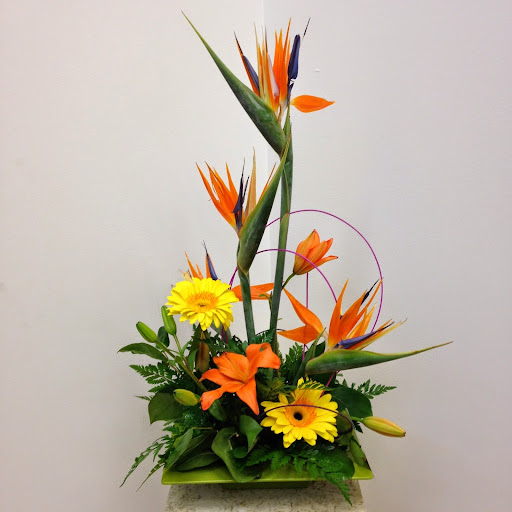 Florist «Steve Coden Flowers», reviews and photos, 26555 Evergreen Rd, Southfield, MI 48076, USA