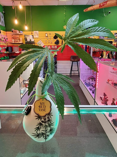 Tobacco Shop «Kokopellis», reviews and photos, 3736 Atlanta Hwy # D, Hiram, GA 30141, USA