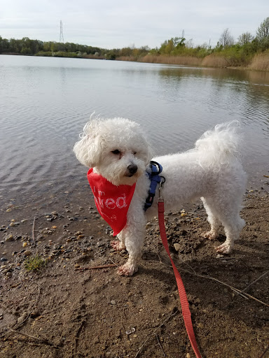 Dog Park «Dog Park», reviews and photos, 9068-9156 Wheatsheaf Rd, Morrisville, PA 19067, USA