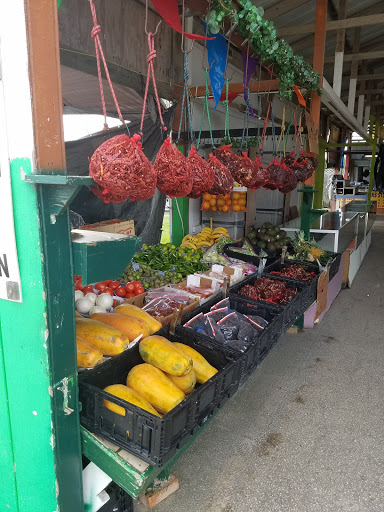 Flea Market «Flea Mart», reviews and photos, 12280 TX-16, San Antonio, TX 78224, USA