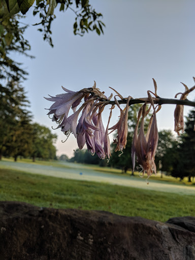 Golf Course «Deer Creek Golf Course», reviews and photos, 7691 E Liberty St, Hubbard, OH 44425, USA