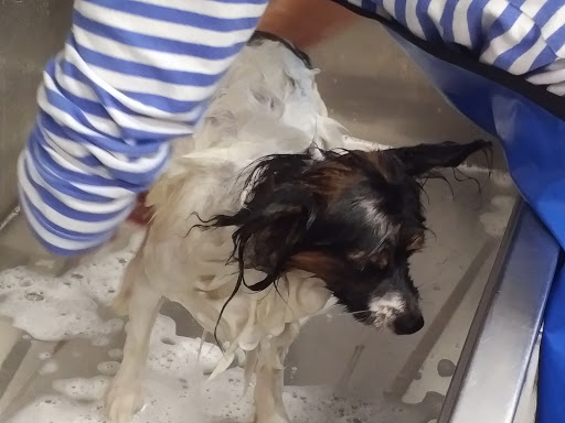 Pet Supply Store «Lemos Feed & Pet Supply», reviews and photos, 1320 Main St, Morro Bay, CA 93442, USA