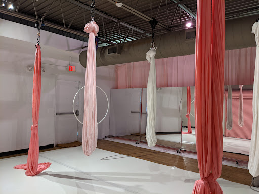 Dance School «Studio Goddess: Aerial Dance Fitness & Pole Dance Parties», reviews and photos, 919 8th Ave S #1, Nashville, TN 37203, USA