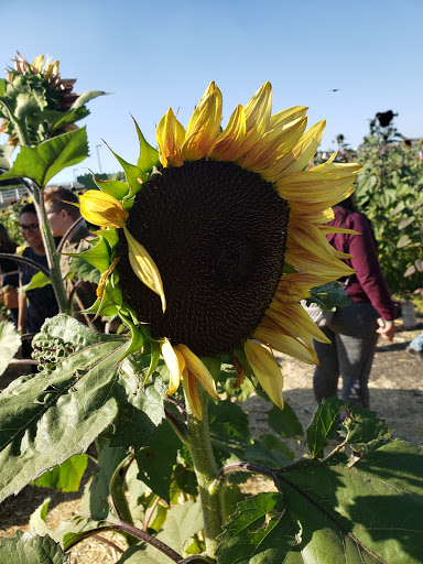 Grocery Store «Farm Store at Kellogg Ranch», reviews and photos, 4102 S University Dr, Pomona, CA 91768, USA