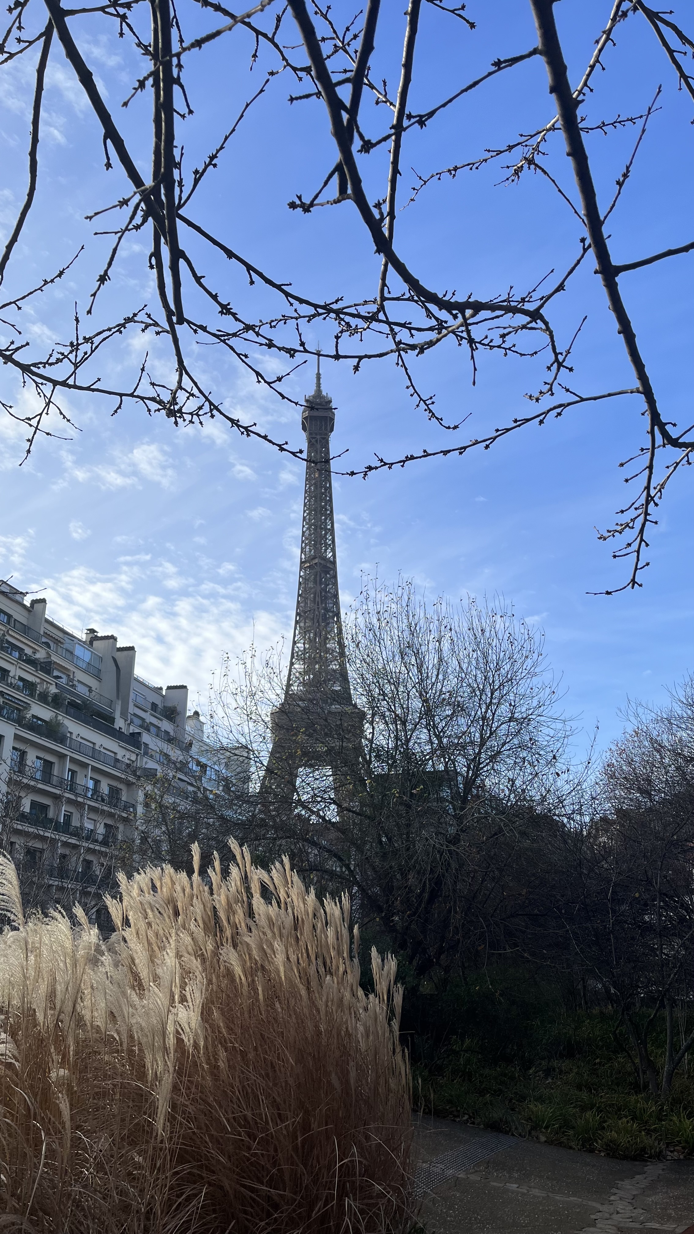 Photo n° 2 de l'avis de C.i fait le 29/12/2022 à 23:18