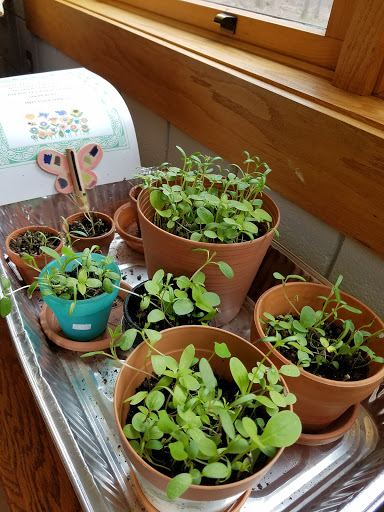 Nature Preserve «Stage Nature Center», reviews and photos, 6685 Coolidge Hwy, Troy, MI 48098, USA