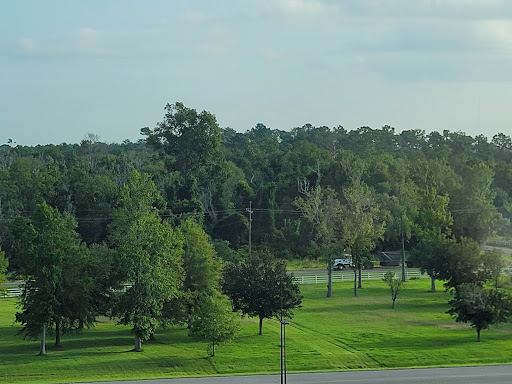 Casino «Delta Downs Racetrack Casino Hotel», reviews and photos, 2717 Delta Downs Dr, Vinton, LA 70668, USA