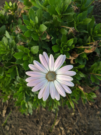 Golf Course «McKay Creek Golf Course & Driving Range», reviews and photos, 1416 NW Jackson St, Hillsboro, OR 97124, USA