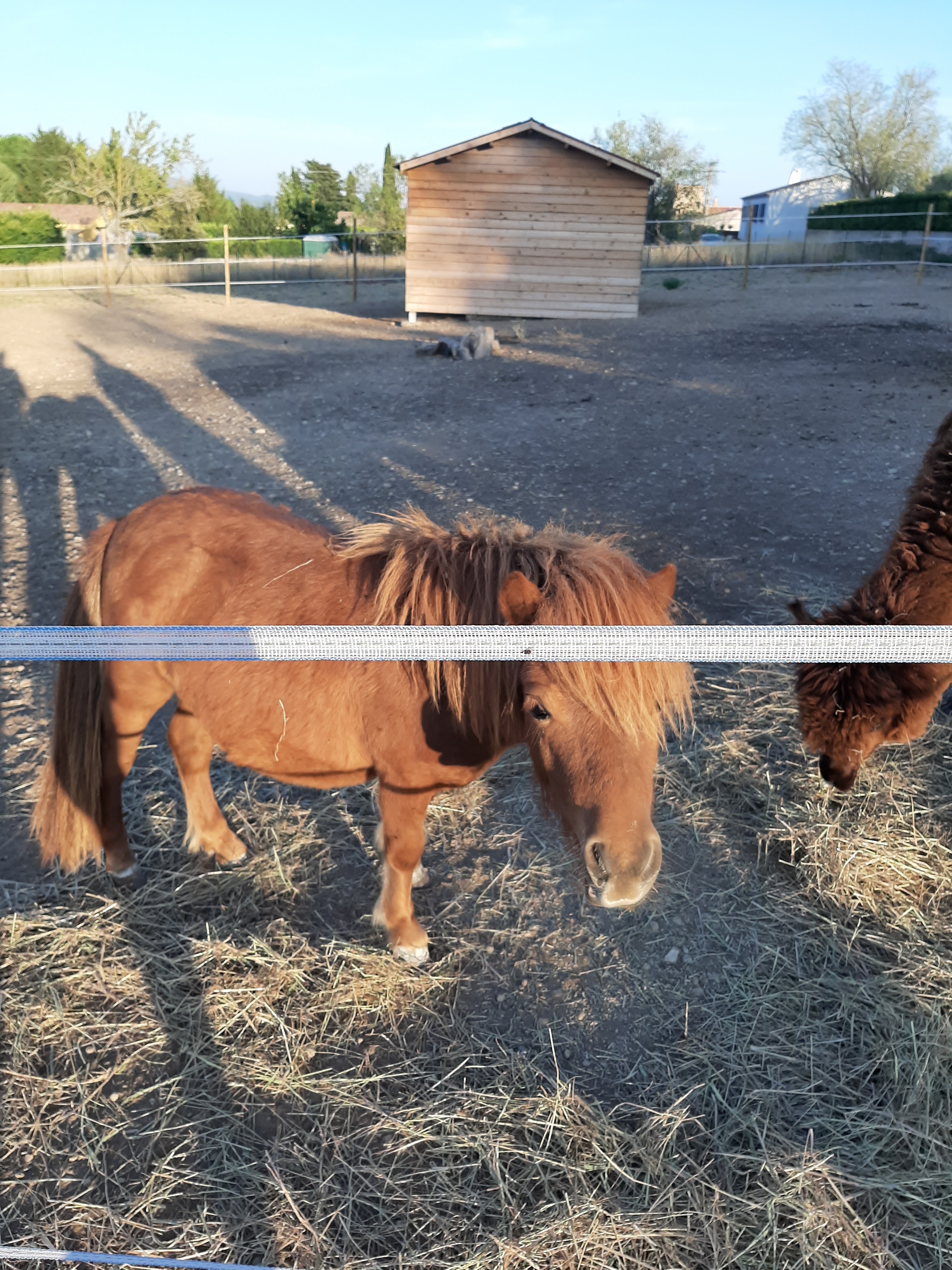 Photo n° 5 de l'avis de Jessica.e fait le 18/08/2019 à 21:07