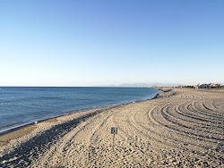 Foto von Port Leucate beach mit sehr sauber Sauberkeitsgrad