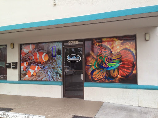 Tropical Fish Store «Blue Seas Aquariums», reviews and photos, 2750 N University Dr, Sunrise, FL 33322, USA