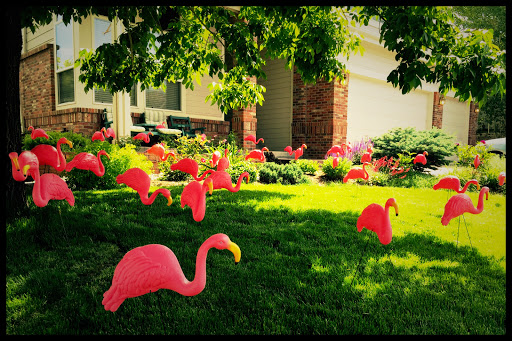 Event Planner «DNM EVENTS», reviews and photos, 5740 Logan St, Denver, CO 80216, USA