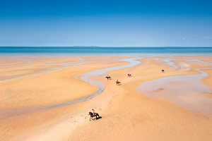 Mozambique Horse Safari image