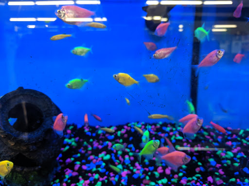 Pet Supply Store «Pet Supplies Plus», reviews and photos, 1240 Seminole Trail, Charlottesville, VA 22901, USA