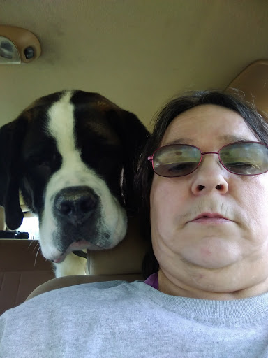 Pet Supply Store «PetSmart», reviews and photos, 2303 Jackson Ave W, Oxford, MS 38655, USA