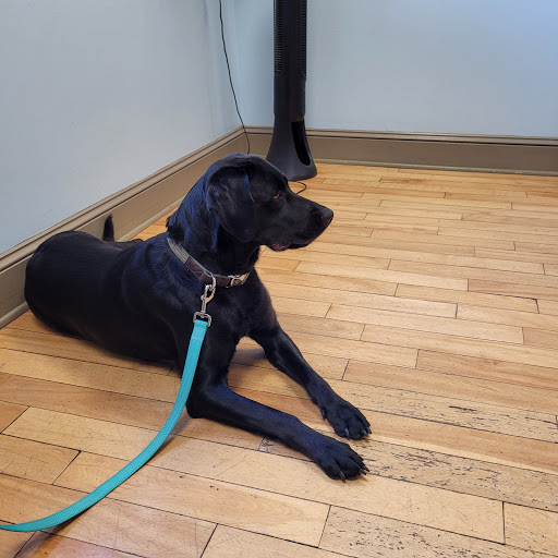 121 US-202, Ringoes, NJ 08551, USA