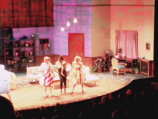 Performing Arts Theater «Meadow Brook Theatre», reviews and photos, 378 Meadow Brook Rd, Rochester, MI 48309, USA