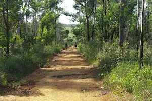 National Forest Brasilia image