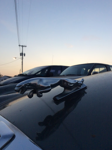 Jaguar Dealer «Jaguar Nashville», reviews and photos, 3 Cadillac Dr, Brentwood, TN 37027, USA