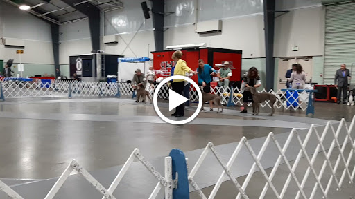 Fast Food Restaurant «Chick-fil-A», reviews and photos, 1222 Hwy 74 S, Peachtree City, GA 30269, USA