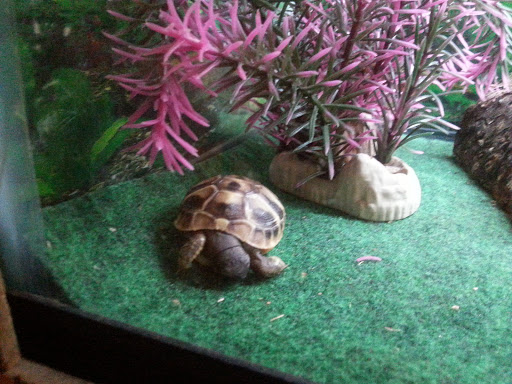 Pet Supply Store «Pet Station Jackson», reviews and photos, 1617 E Michigan Ave, Jackson, MI 49202, USA