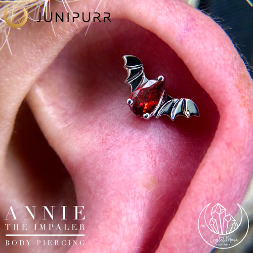 Explore dinosaur tattoo ideas for son, creative tattoo ideas in Bloomington, available at Crystal Moon Body Arts